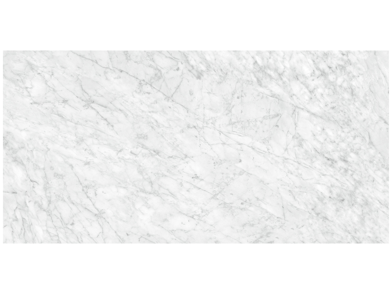 lamarcacarraragiogia